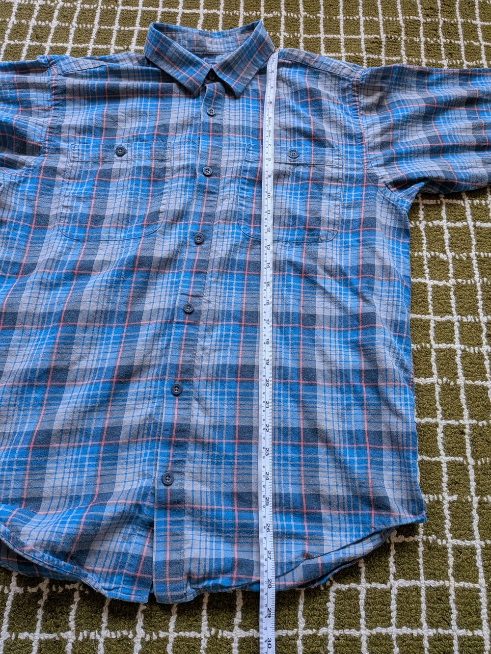 Patagonia Blue Plaid Button-Up Shirt